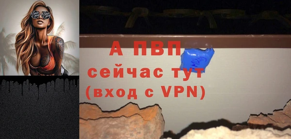спиды Майский
