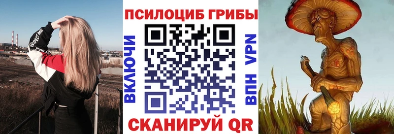 купить наркотик  Сухиничи  Галлюциногенные грибы Magic Shrooms 